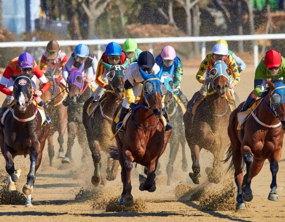 A group of jockeys ride on horses at a race