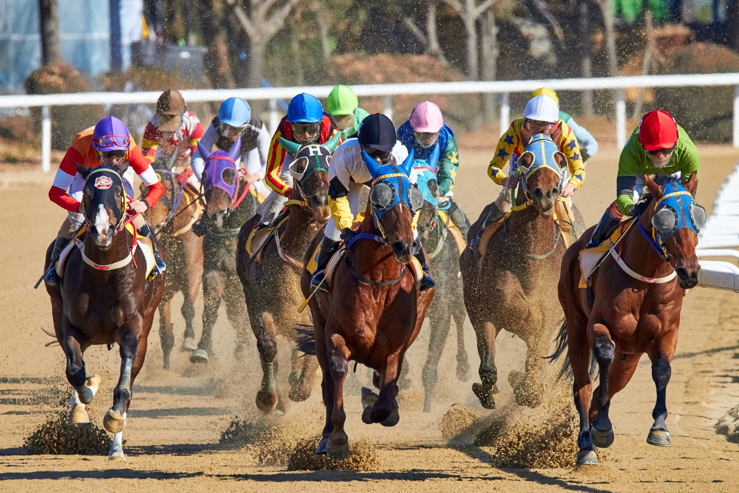 The Kalgoorlie Cup